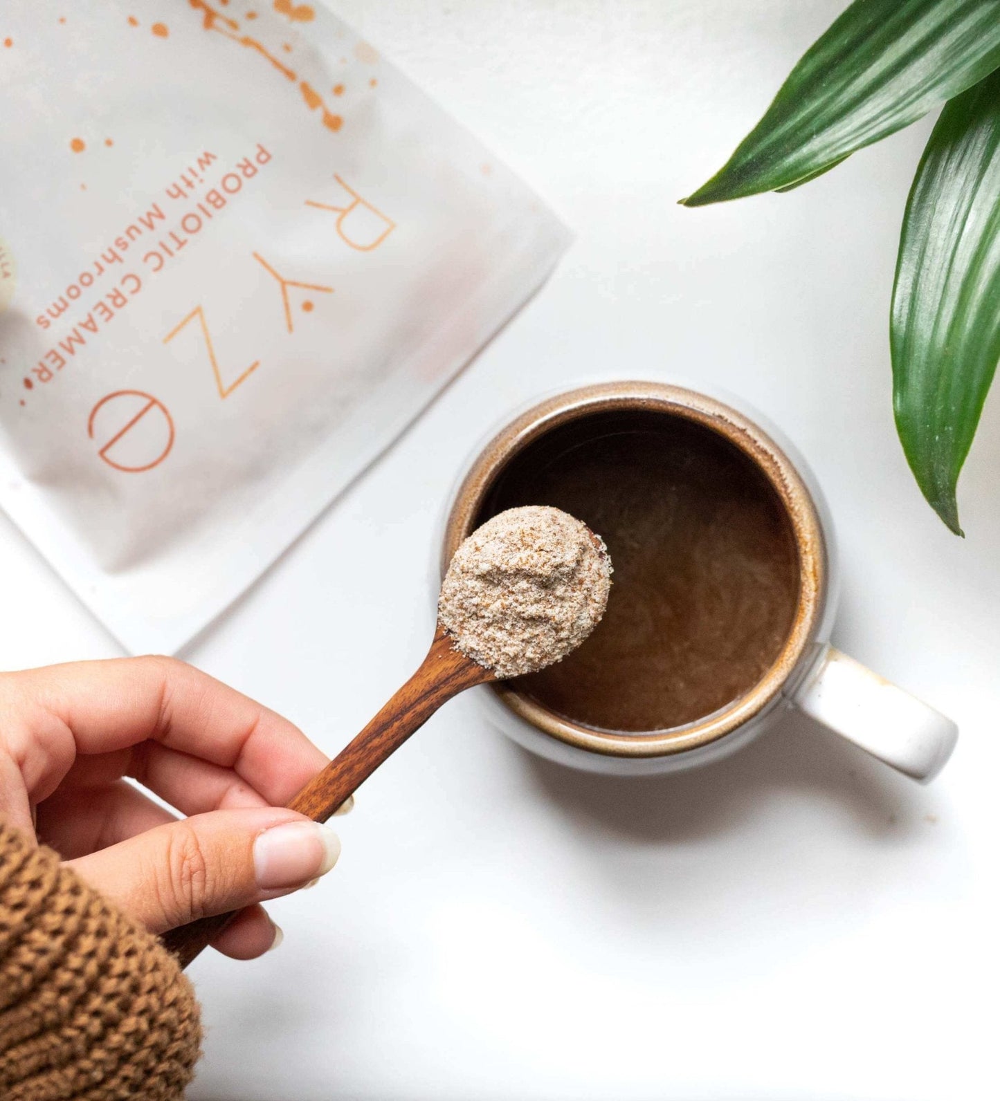 Try our Probiotic Creamer for 50% OFF! - YJDM