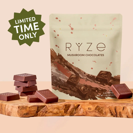 Mushroom Chocolates Rye (15 pieces) - Z35G