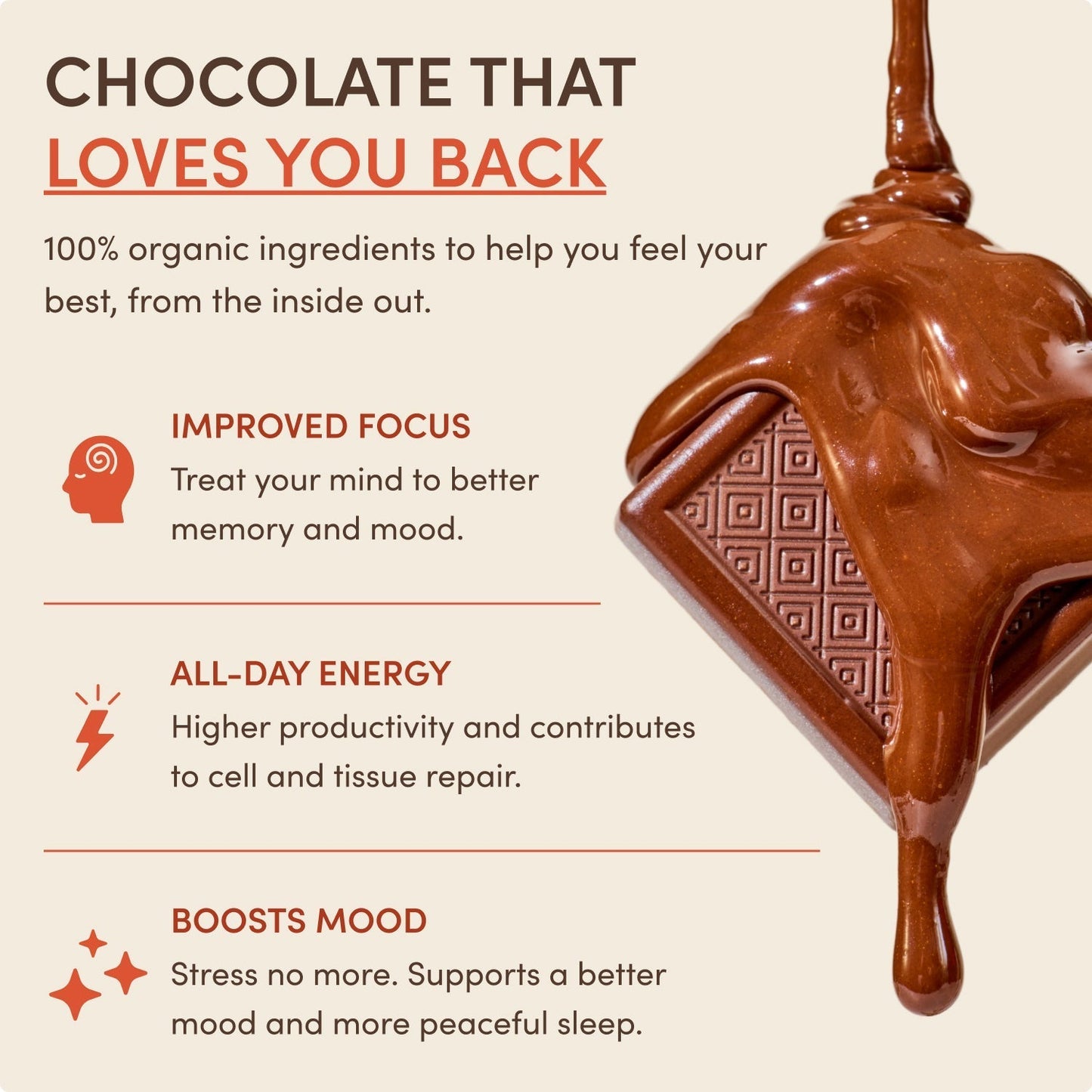 Chocolate Indulgence Bundle - SGNN