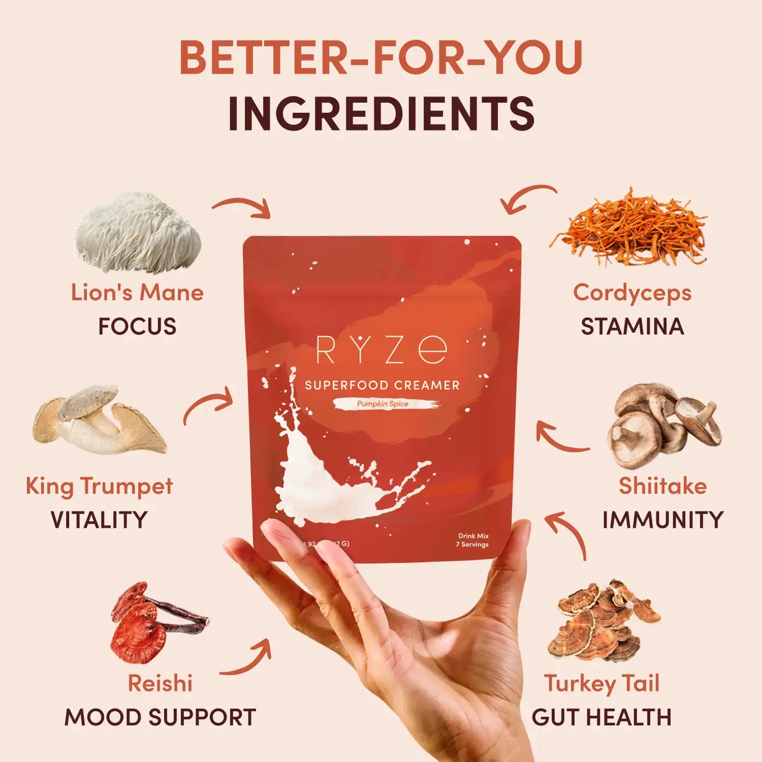 Pumpkin Spice Superfood Creamer Add-On (SPECIAL PRICING) - SJZK
