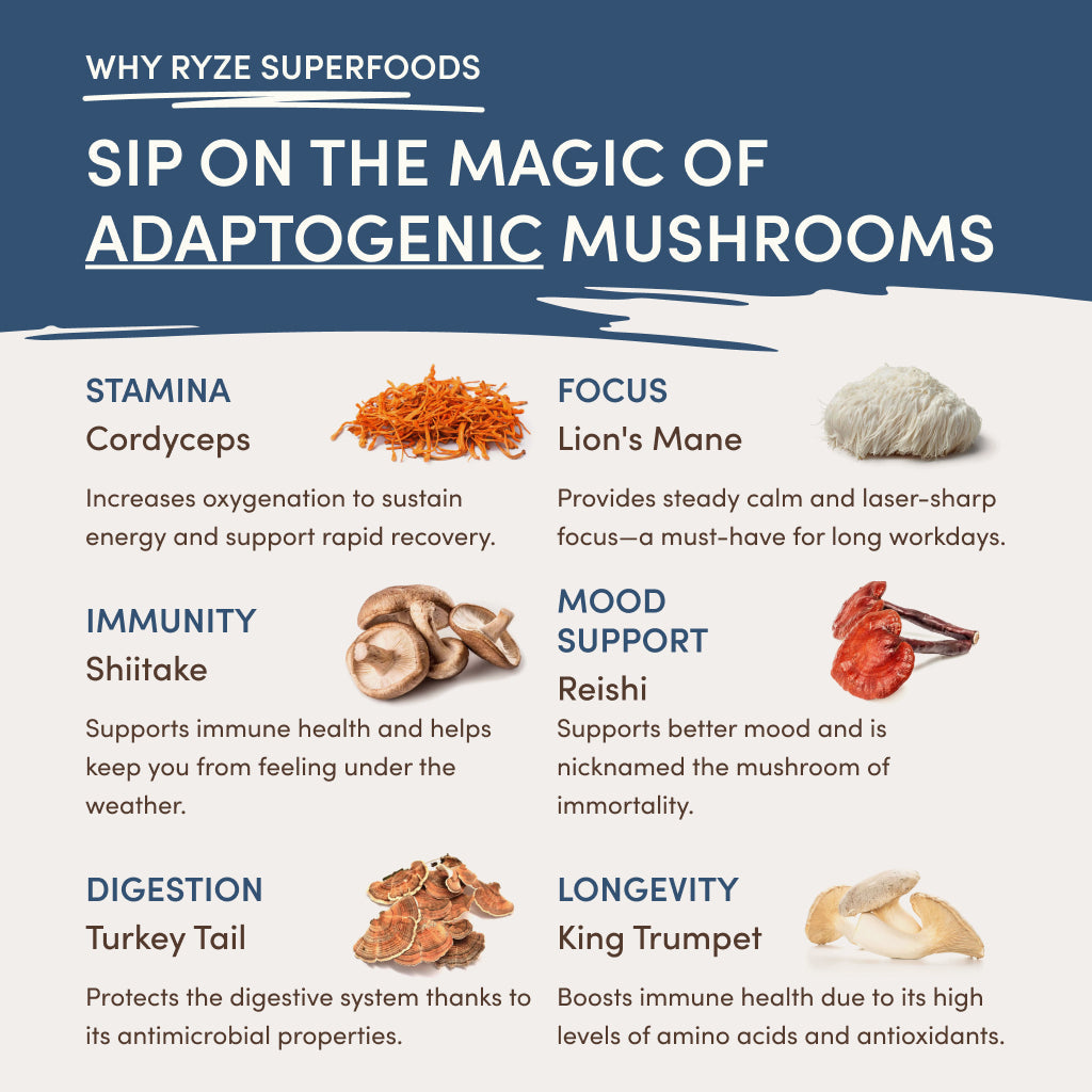RYZE Nighttime Mushroom Cocoa Starter Bag - 9KTX