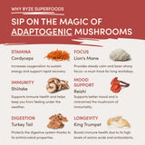 RYZE Mushroom Chai Starter Bag - XPH8