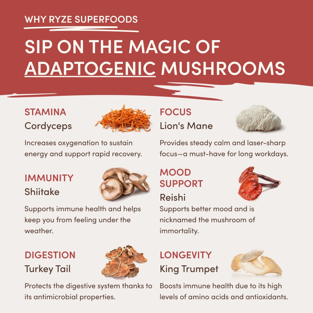 RYZE Mushroom Chai Starter Bag - XPH8