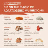 Mushroom Coffee (1 pack - 30 Servings) - 1W0Z