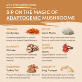 Mushroom Overnight Oats (14 Servings) - GPCS