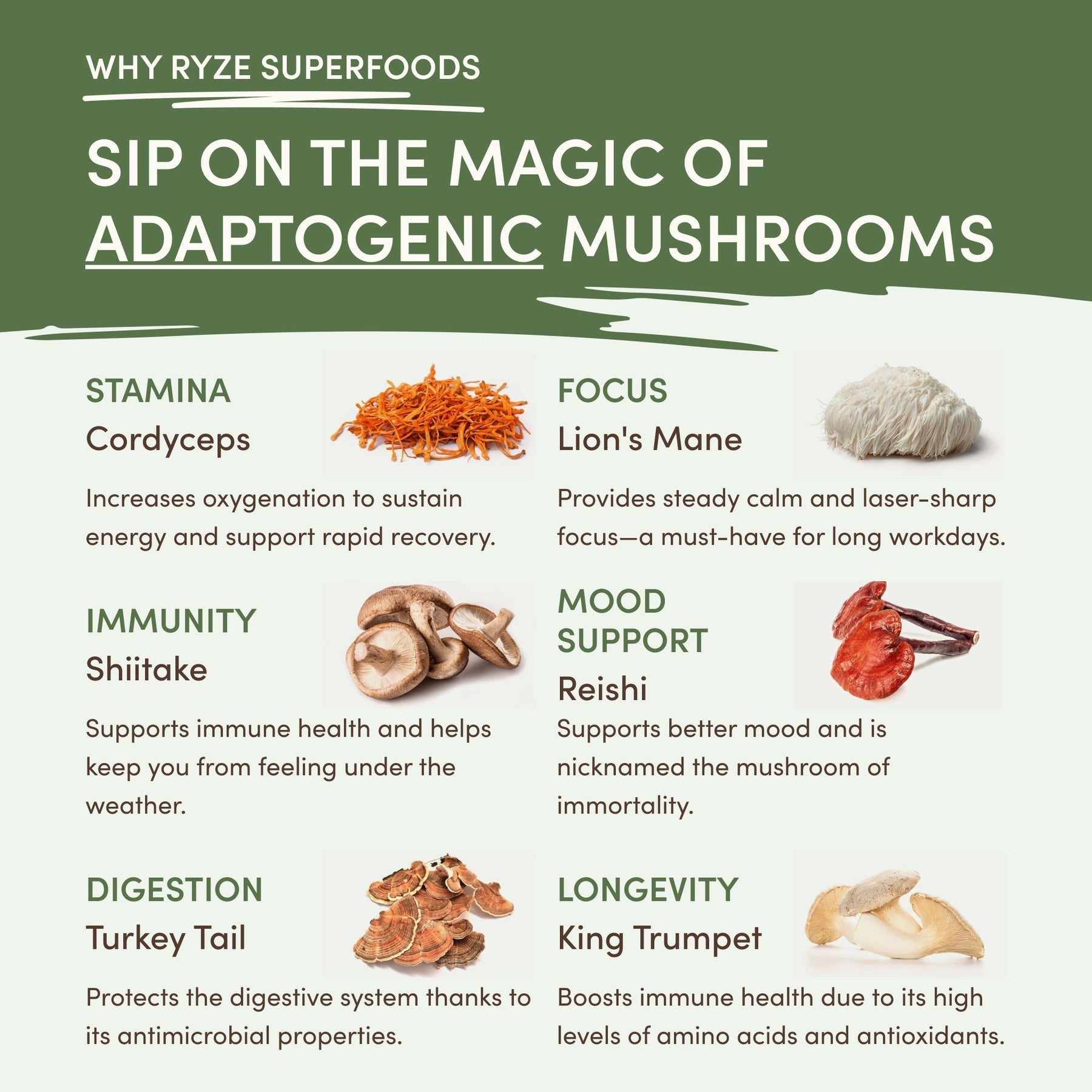 Mushroom Matcha (1 Pack - 30 Servings) - 4NLT