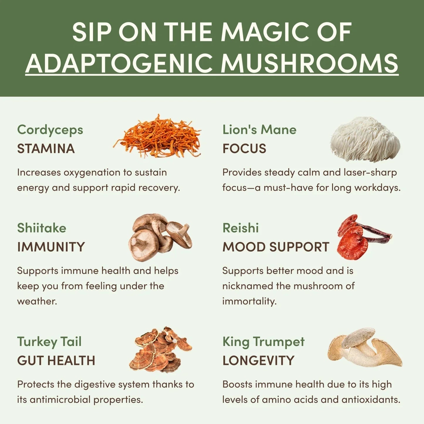 Mushroom Matcha Starter Kit (60 Servings) - SMP2