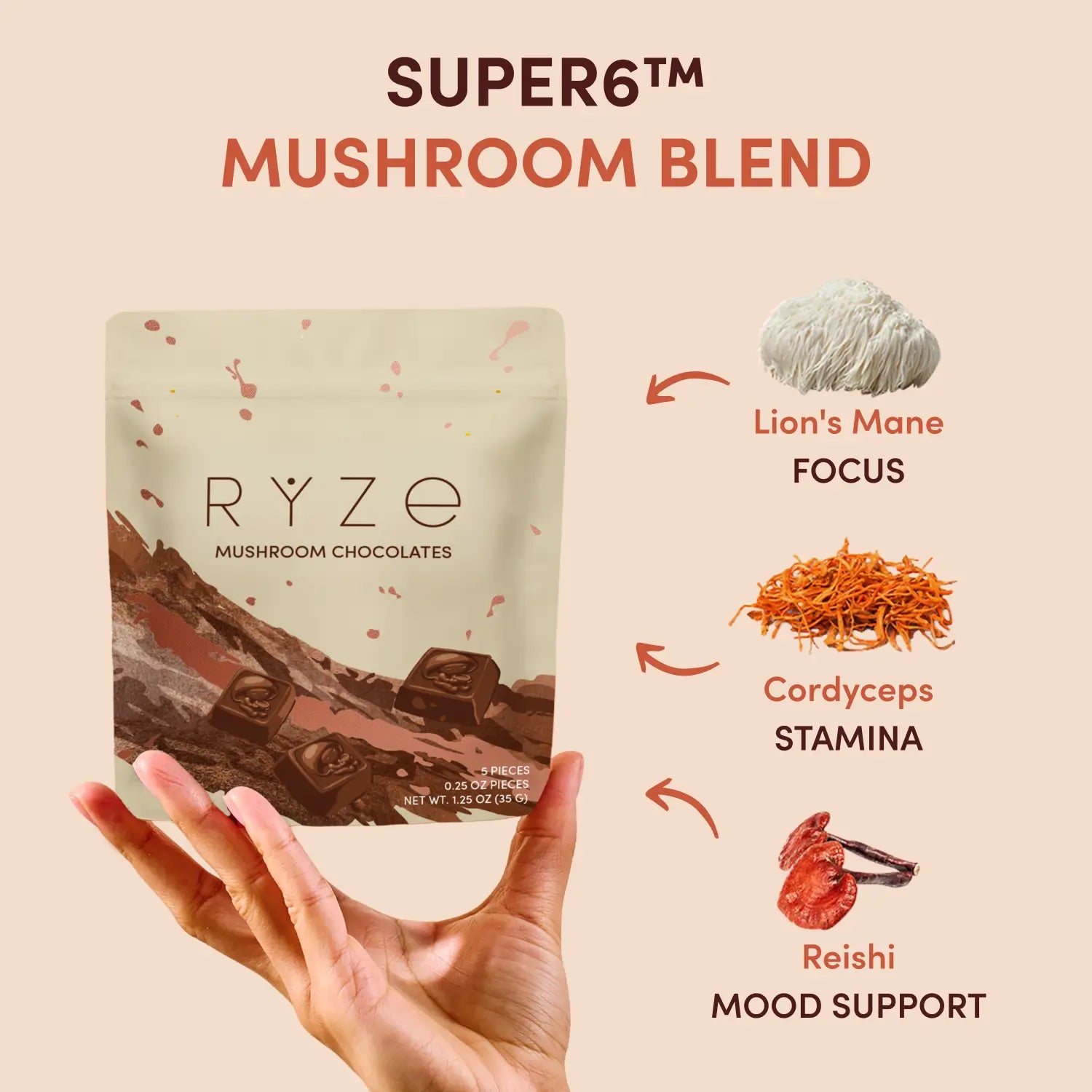 Mushroom Chocolates Rye (15 pieces) - Z35G