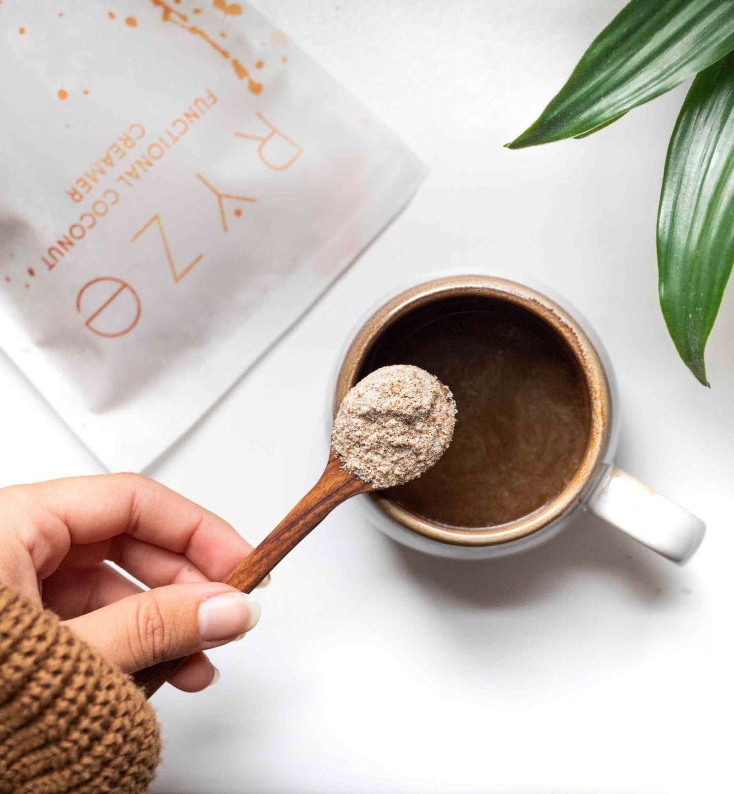 Probiotic Creamer (SPECIAL PRICING) - K49C
