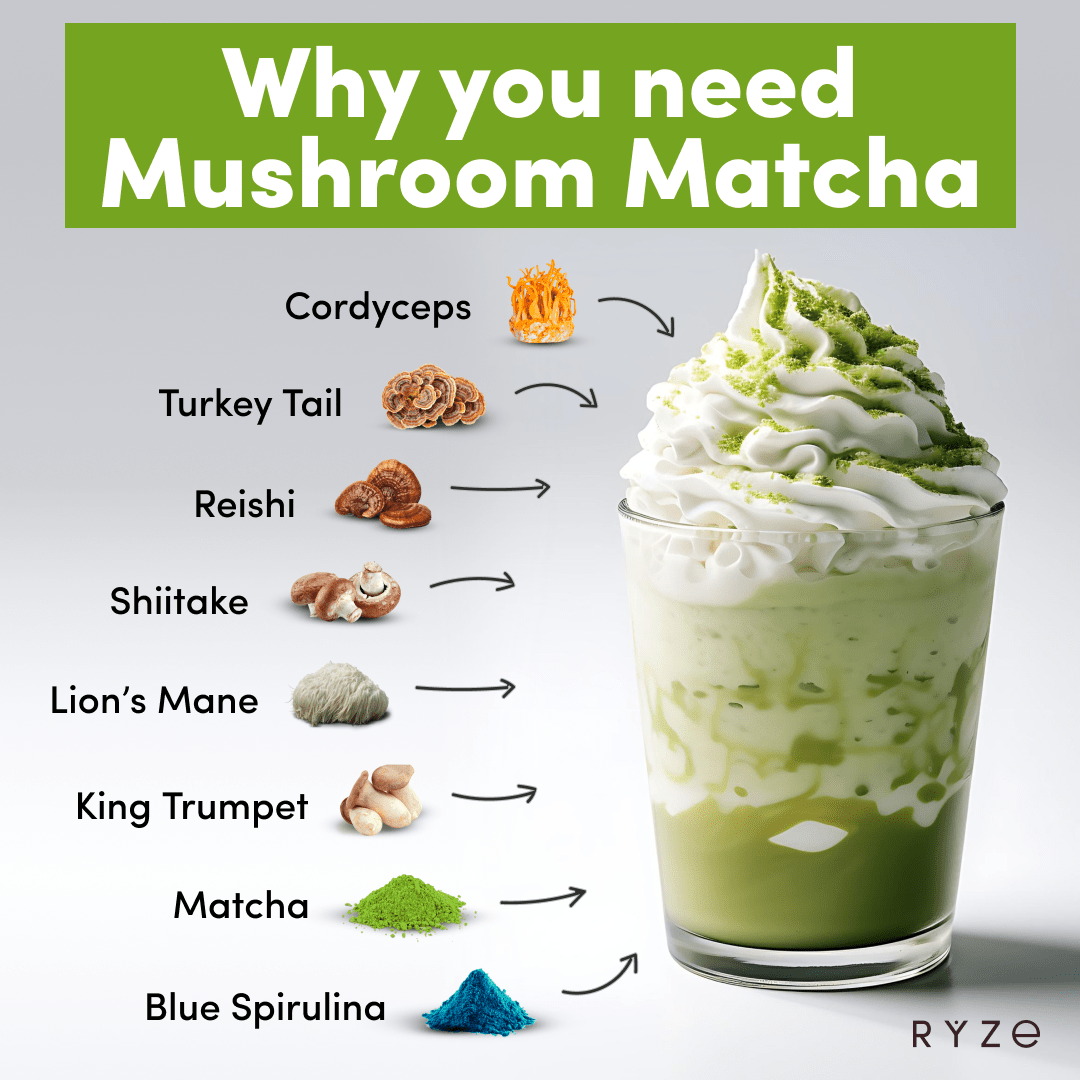RYZE Mushroom Matcha - with 6 Organic Adaptogenic Mushrooms Grown In USA and Ceremonial-Grade Japanese Matcha - B4E8