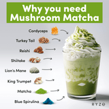 RYZE Organic Mushroom Matcha Starter Kit (60 servings) - 2SY1